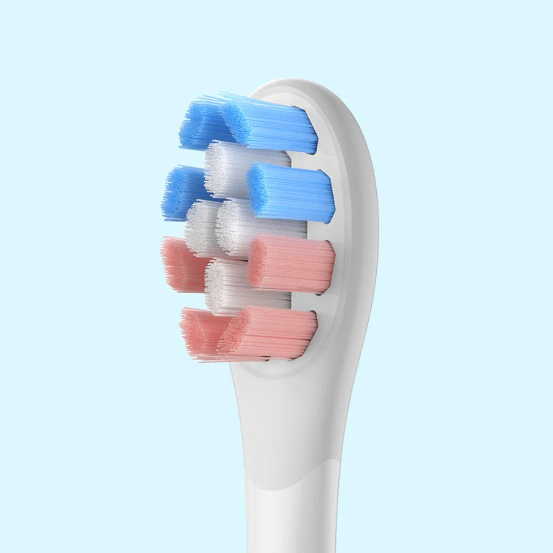 Section Image